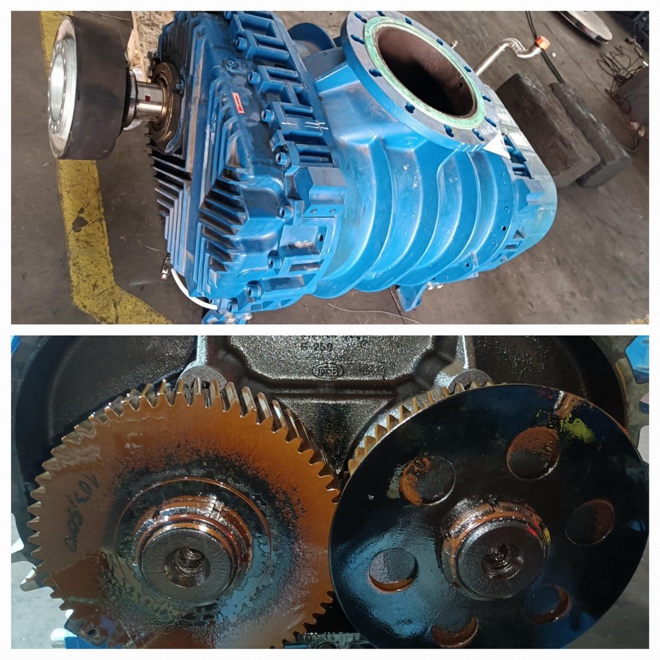 昆山某汽車配件廠 ROBUSCHI RBS145 蒸汽壓縮機(jī)維修案例