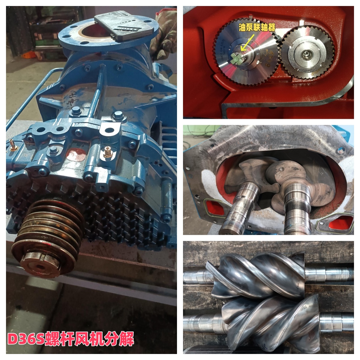 山東東營某凈化公司 艾珍D36S螺桿風(fēng)機維修實例